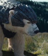 Iorek